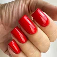PNB Gel lak na nehty - 206 Fire, 8 ml