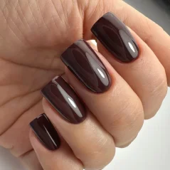 PNB Gel lak na nehty - 060 Confidence, 8 ml