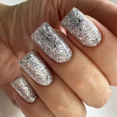 PNB Gel lak na nehty - 185 Silver, 8ml