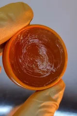 Zola Lami Balm, lepidlo-balzam, ORANGE, 30 g